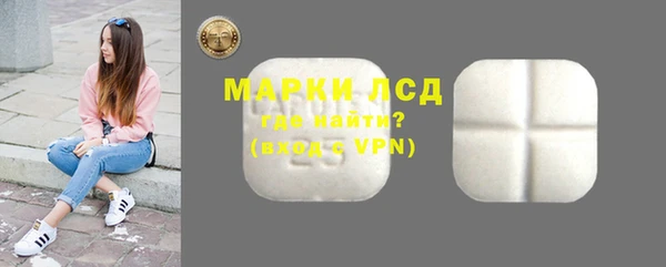 ECSTASY Алзамай