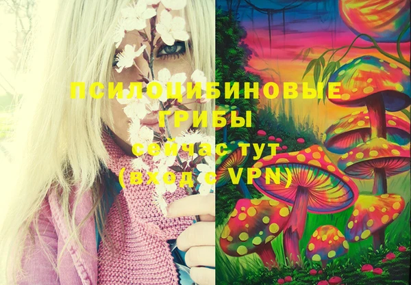 марки lsd Алексин