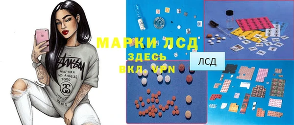 ГАЛЛЮЦИНОГЕННЫЕ ГРИБЫ Зеленодольск